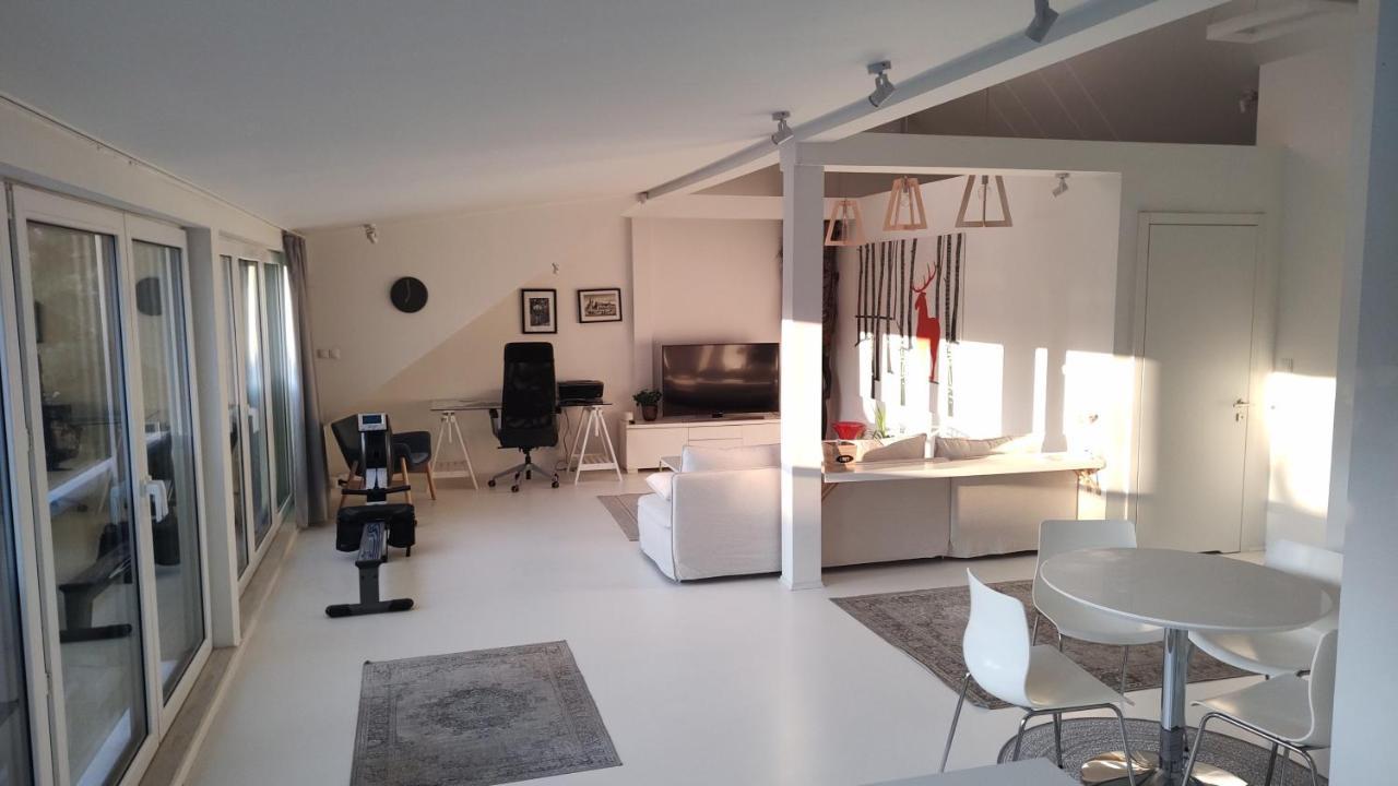 Loft 85 M2 Wilanow Krolewski Self Checkin Varšava Exteriér fotografie
